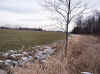 pictures/pic_spring_field_lg_dh.jpg (90709 bytes)